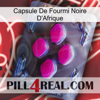 Africa Black Ant Capsule 02